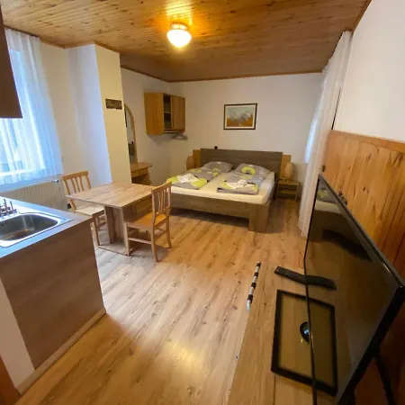 Encijan Apartments Log pod Mangartom Zewnętrze zdjęcie